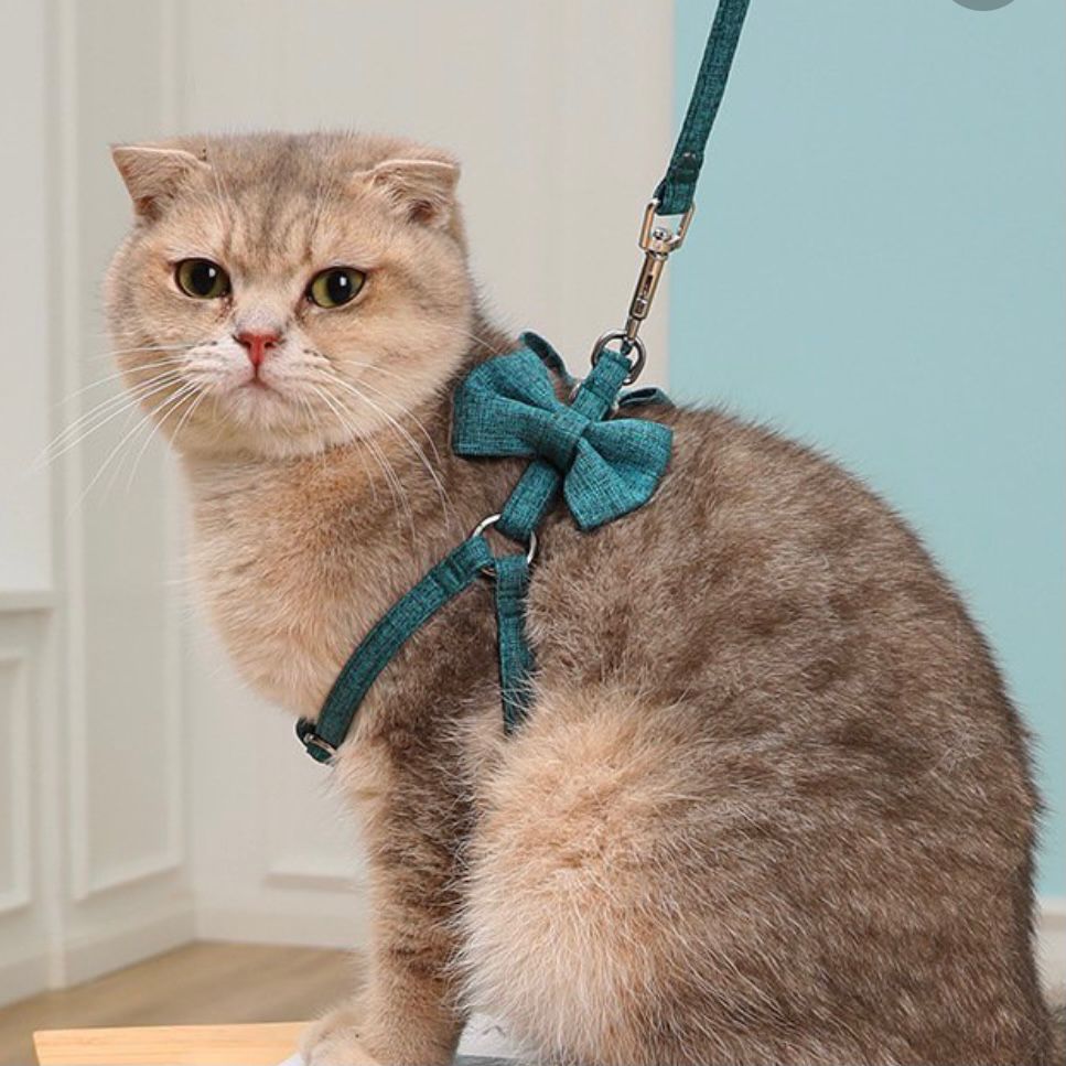 Cat Harness & Leash Set - Style Phase Home